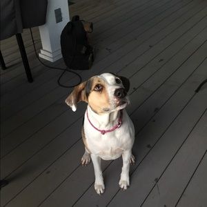 Meet your Posher, Vickie